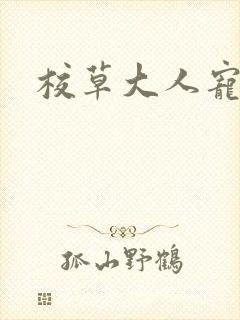 校草大人宠上瘾
