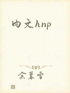 肉文hnp