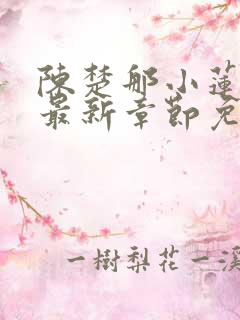 陈楚那小莲小说最新章节免费阅读