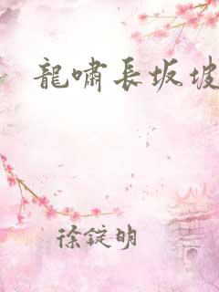 龙啸长坂坡