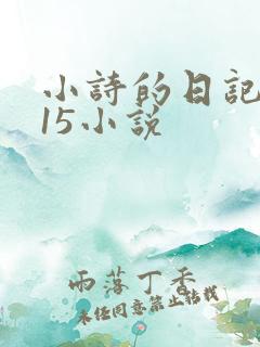 小诗的日记1一15小说