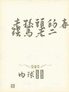 老孙头的春天马强马老二
