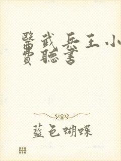 医武兵王小说免费听书