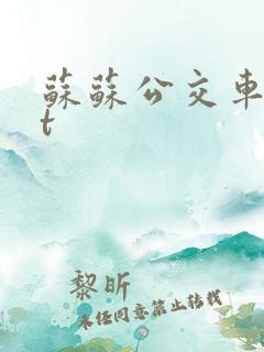 苏苏公交车txt