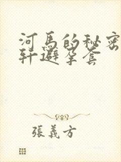 河马的秘密河文轩避孕套