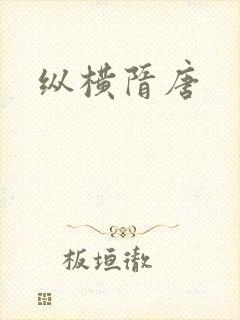 纵横隋唐