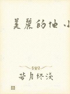 美丽的他 小说