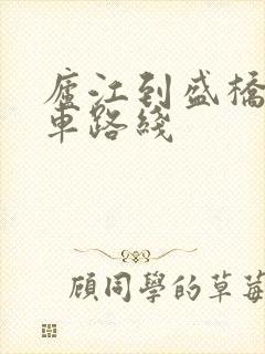 庐江到盛桥公交车路线