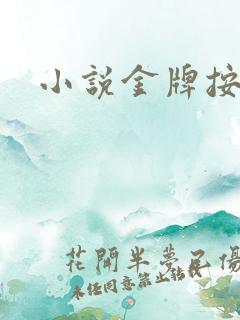 小说金牌按摩师