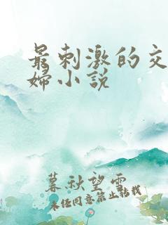 最刺激的交换夫妇小说