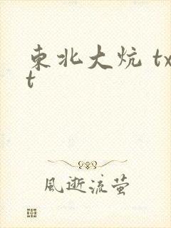 东北大炕 txt