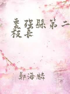 枣强县第二小学校长