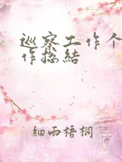 巡察工作个人工作总结