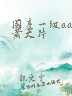 国产一级aa特黄大片