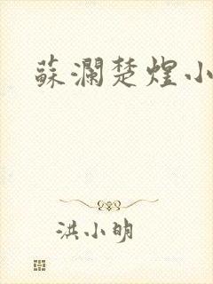 苏澜楚煜小说