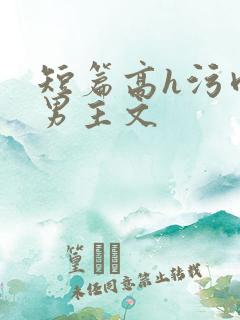 短篇高h污肉双男主文