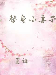 替身小妻子