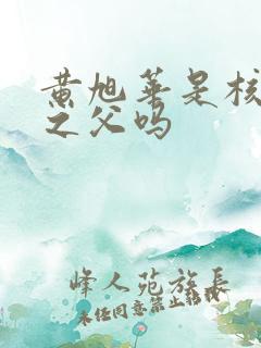 黄旭华是核潜艇之父吗
