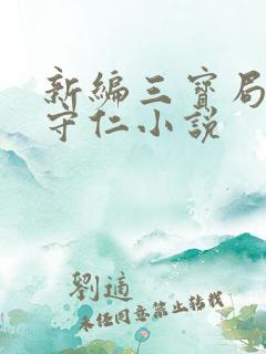 新编三宝局长秦守仁小说