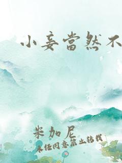 小妾当然不如妻