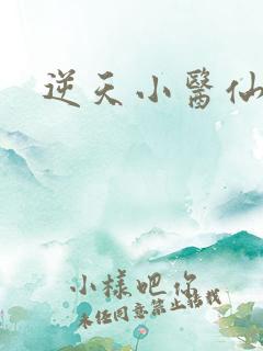 逆天小医仙陈平