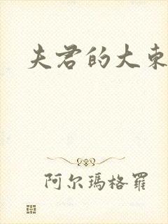 夫君的大东西