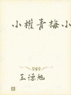 小权青梅小说