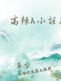 高辣h小说在线