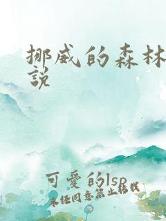 挪威的森林 小说