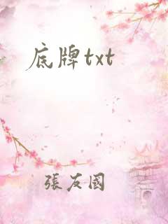 底牌txt