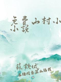 免费山村小傻医小说