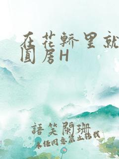 在花轿里就开始圆房H