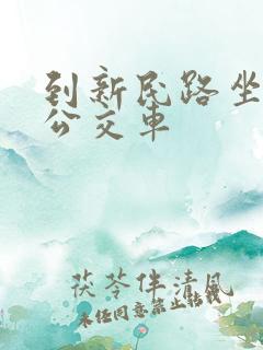 到新民路坐几路公交车