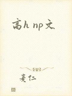 高h np文