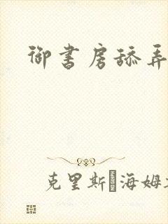 御书房舔弄花心