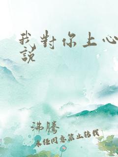 我对你上心了小说