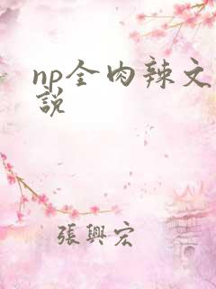 np全肉辣文小说