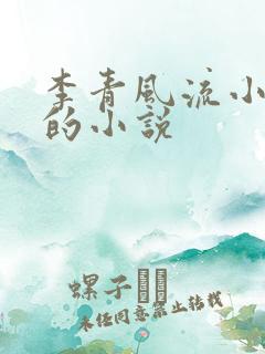 李青风流小农民的小说