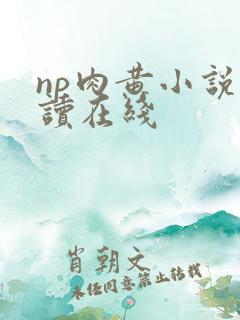 np肉黄小说阅读在线