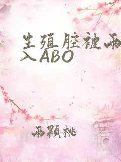 生殖腔被两根进入ABO