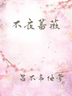 不夜蔷薇