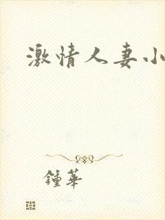激情人妻小说h