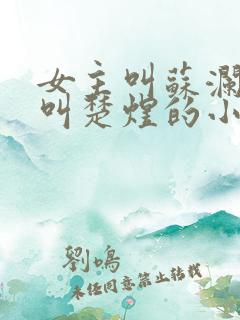 女主叫苏澜男主叫楚煜的小说