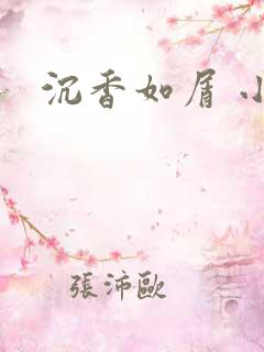沉香如屑 小说