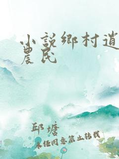 小说乡村逍遥小农民
