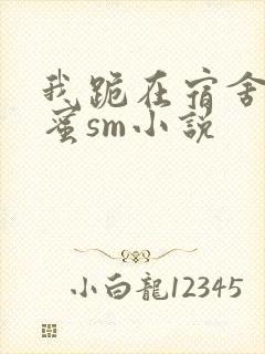 我跪在宿舍被闺蜜sm小说
