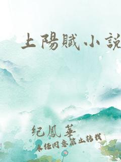 上阳赋小说