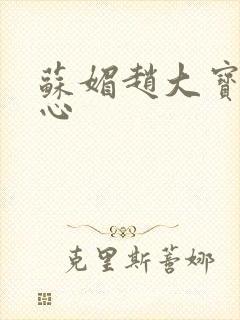 苏媚赵大宝海之心
