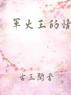 军火王的情人