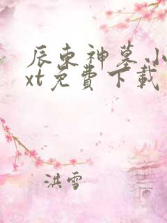 辰东神墓小说txt免费下载